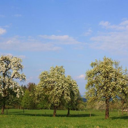 Appartements Apfelbluete Bad Feilnbach Dış mekan fotoğraf