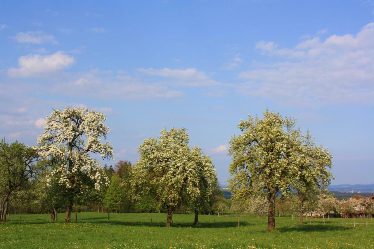 Appartements Apfelbluete Bad Feilnbach Dış mekan fotoğraf